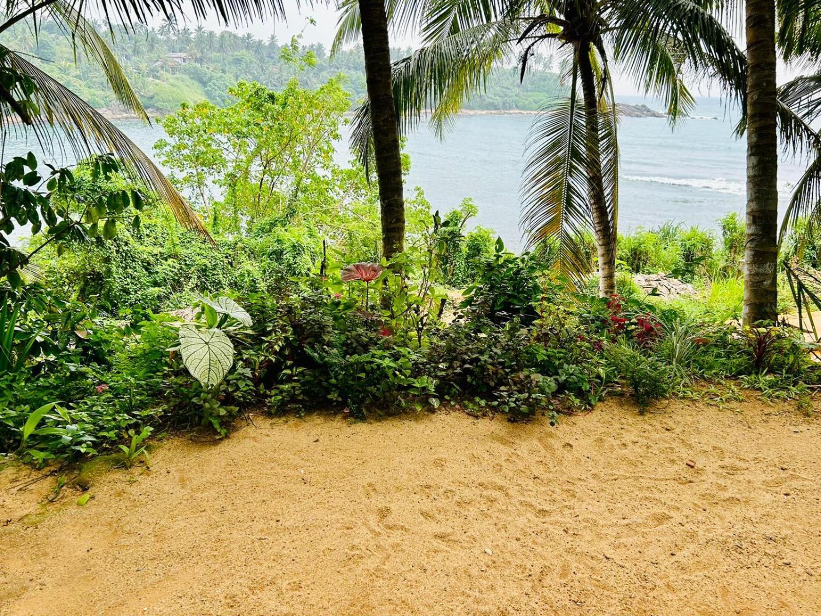 Surf Paradise Tangalle Ngoại thất bức ảnh