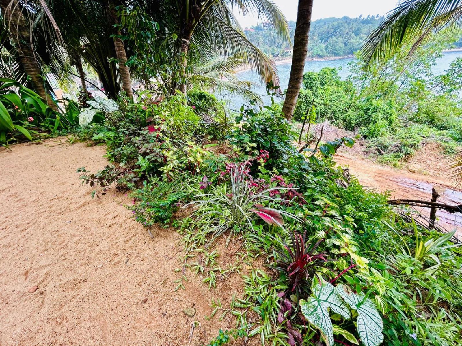 Surf Paradise Tangalle Ngoại thất bức ảnh