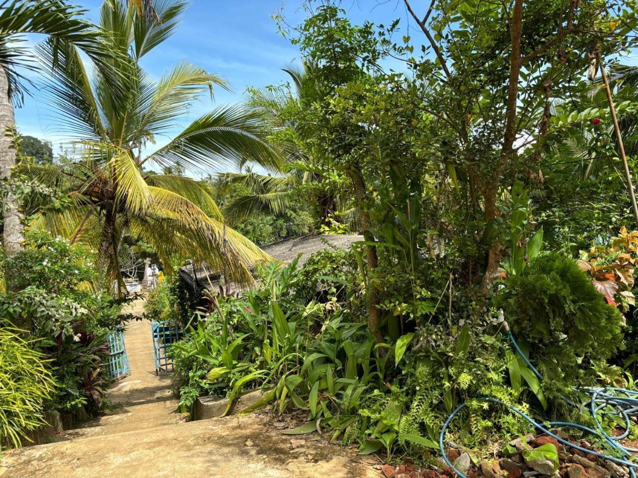 Surf Paradise Tangalle Ngoại thất bức ảnh